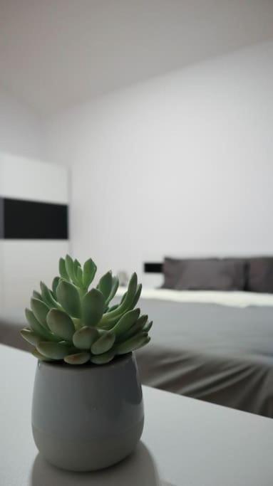 Modern Apartment In The Center Of Prága Kültér fotó
